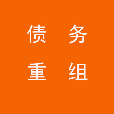 潘集个人债务重组优化